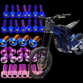 Eride Pro S/SS/SR Bolt Kit DevMoto